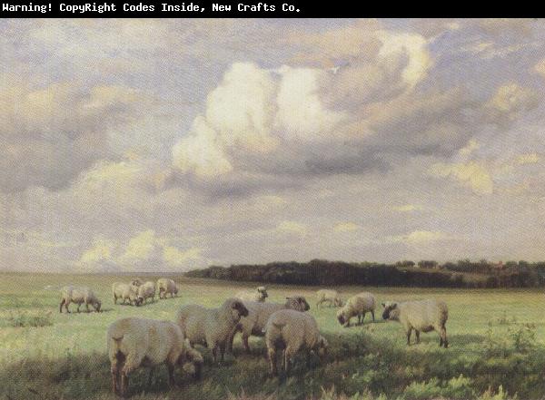 wright barker Upland Pastures (mk37)